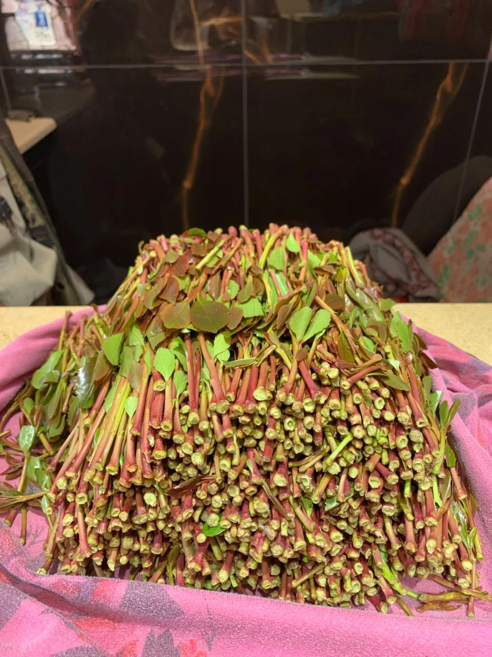 عمري درجة 1